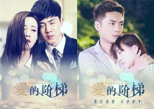 爱的阶梯全集电视剧在线观看,重温情感巅峰，共鉴人生起伏  第3张